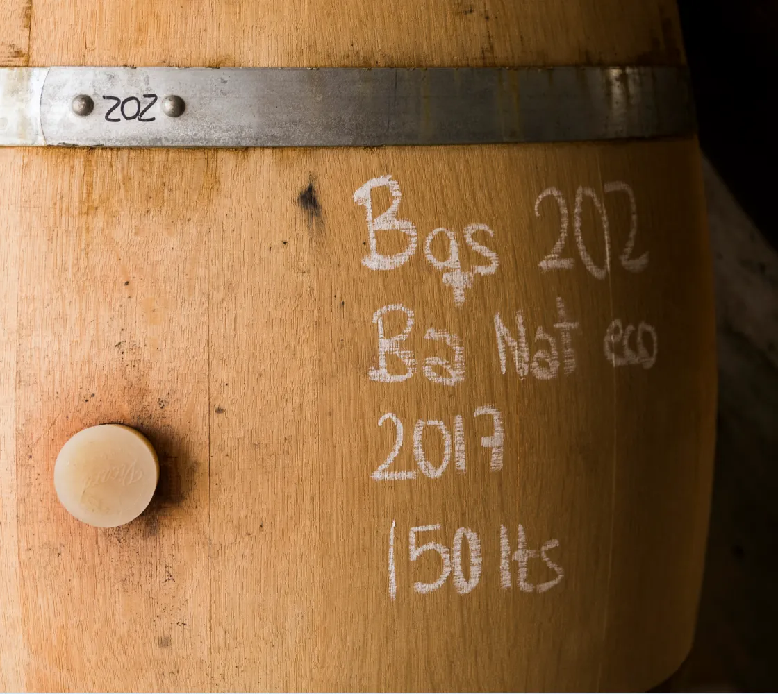 cloudwine wineries
